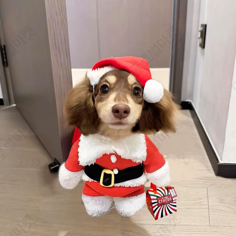강아지 크리스마스옷 산타옷 고양이 반려견 루돌프 중형견 - 상품 이미지