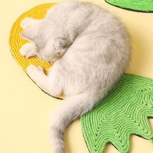 벽걸이 수직 스크래쳐 장난감