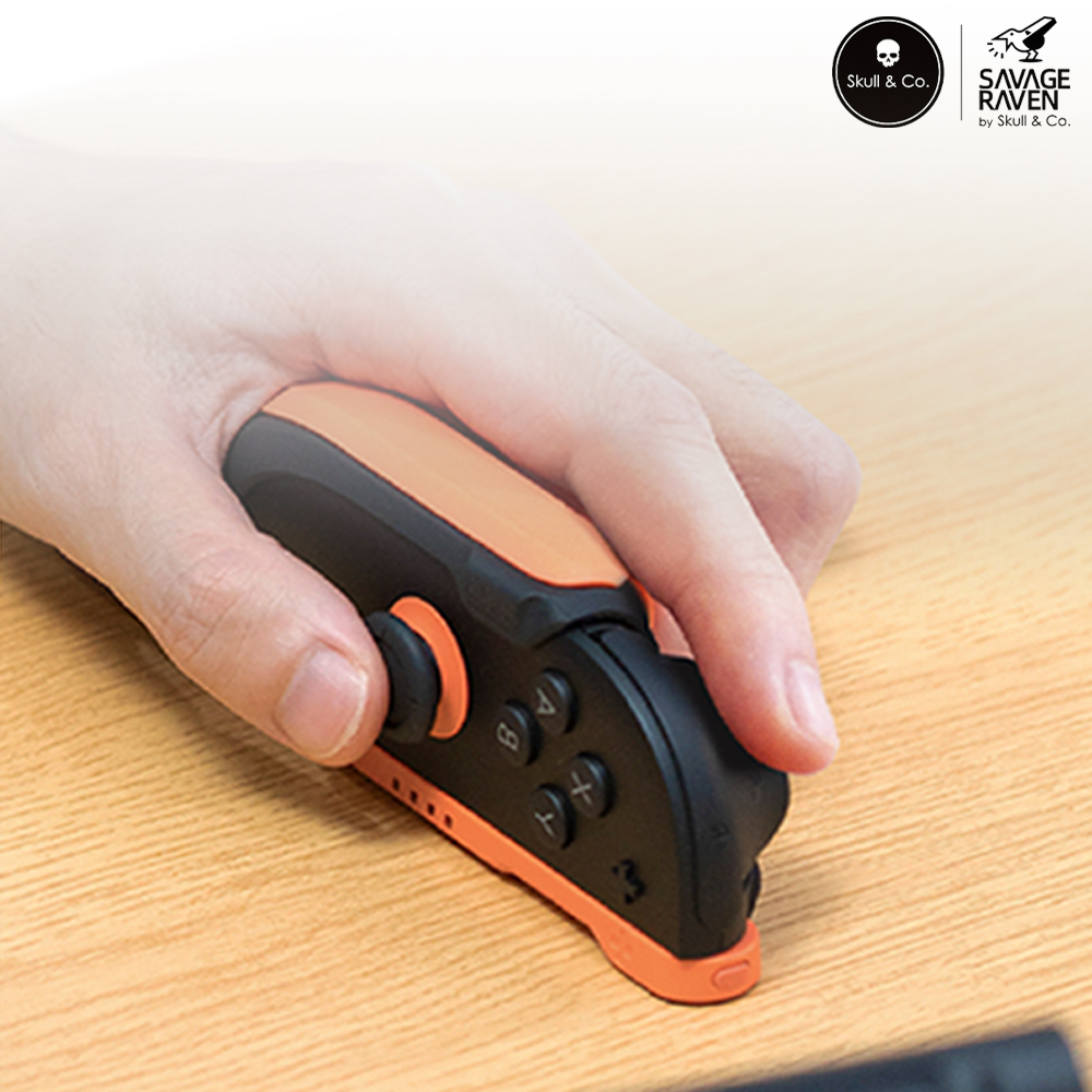 닌텐도 스위치2 케이스 스컬앤코 피션 그립케이스