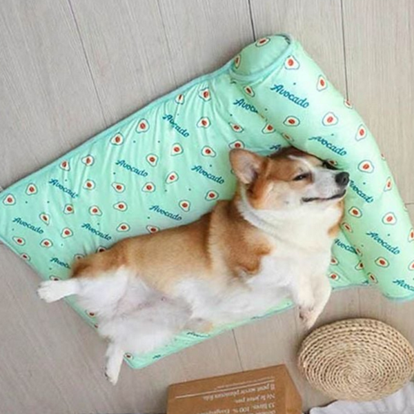 시원한 반려동물 쿨 매트 고양이 강아지 쿨 매트 아이스 - 메인 이미지
