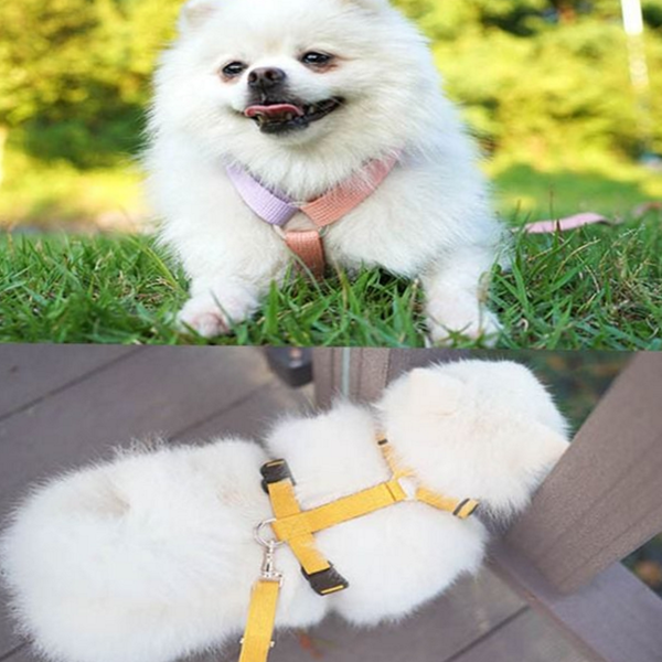가벼운 강아지 하네스 산책용 반려견 하네스 조절형 소형견 - 상품 이미지
