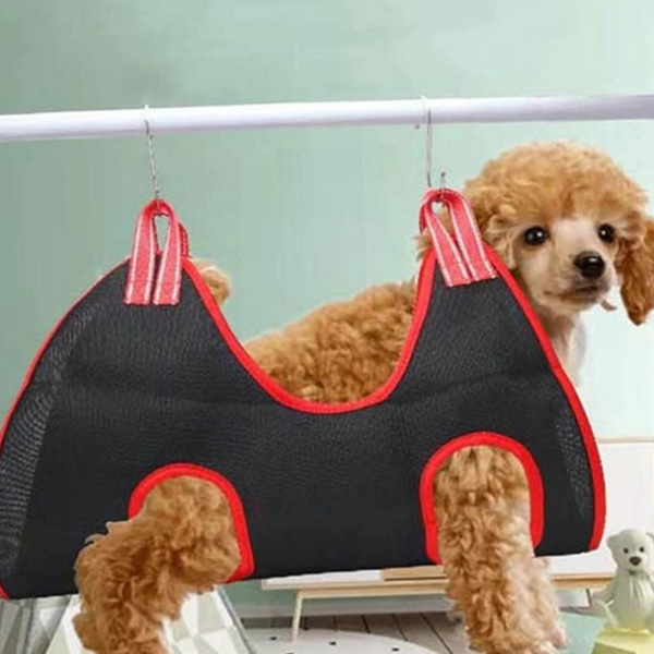 강아지 반려동물 동물 발톱깎이 고양이 반려동물 발톱 정리 - 메인 이미지
