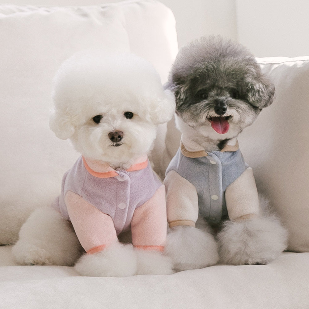 강아지 패딩 올인원 겨울옷 티셔츠 모음전 이미지 6