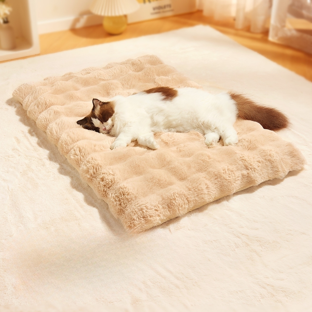 고양이 강아지 방석 따뜻한 솜털 반려견 쿠션 겨울 애견 미끄럼방지 그린 M 60x45cm - 상세 이미지 3