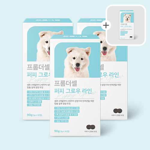 프롬더셀 강아지 퍼피전용 면역, 성장, 관절, 두뇌발달 도움 종합영양제 3박스 - 메인 이미지