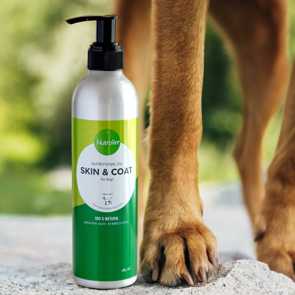 강아지 피부 영양제 알러지 발사탕 반려견 핀란드 오메가3 뉴트롤린 스킨앤코트 260ml 이미지 2