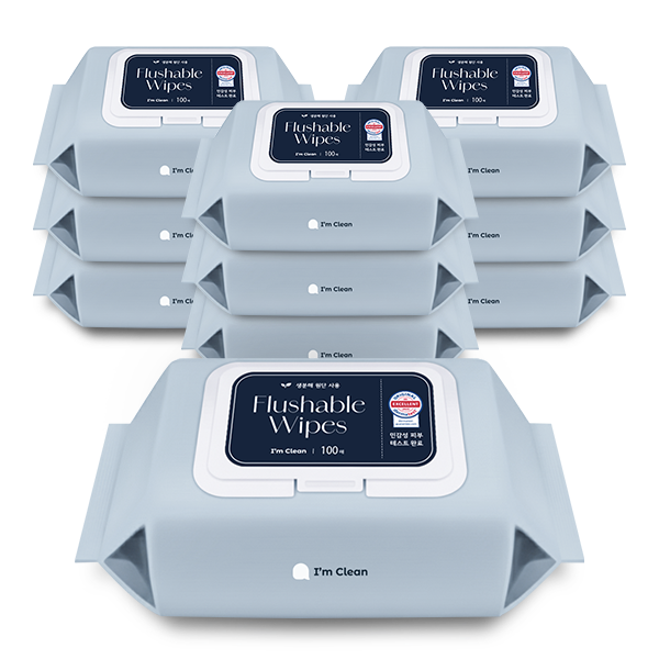 아임클린 비데물티슈 비데티슈 100매, 10개