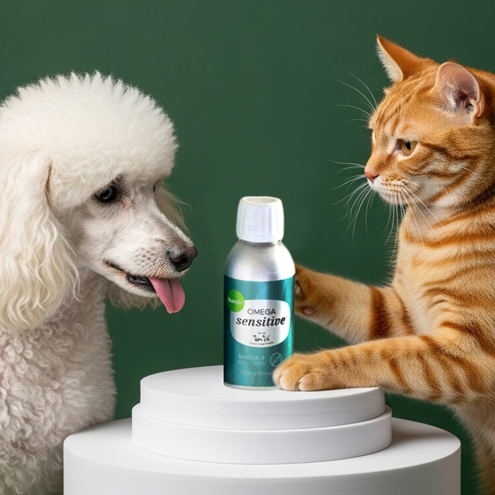 뉴트롤린 강아지 고양이 논알러지 영양제 오메가3 센시티브 150ml, 1개 이미지 8