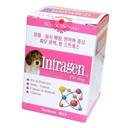 알켐바이오 강아지건강식품 인트라젠 영양제 200정