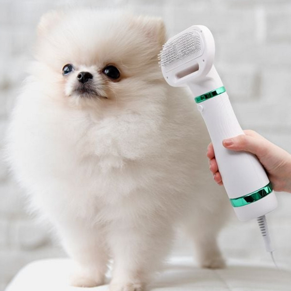 펫 드라이어 브러쉬 안전펫 반려동물 드라이기 고양이