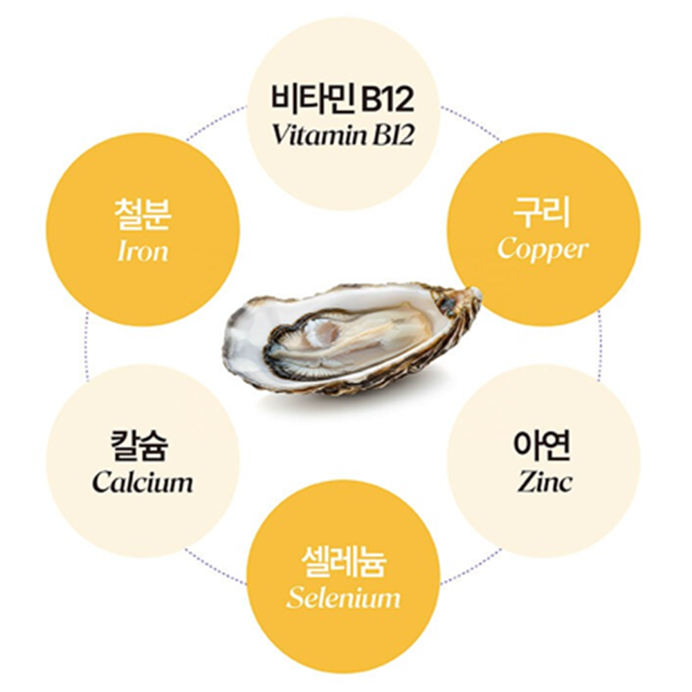 살므시 유산균 발효굴추출분말 FGO 60정 1박스 2개월 가바 GABA 키 뼈 성장 효능 - 상세 이미지 4
