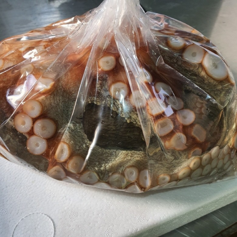 국내산 활 대왕 돌문어 1미 2kg 생물 숙회 무침 제수용 대용량 - 상세 이미지 5