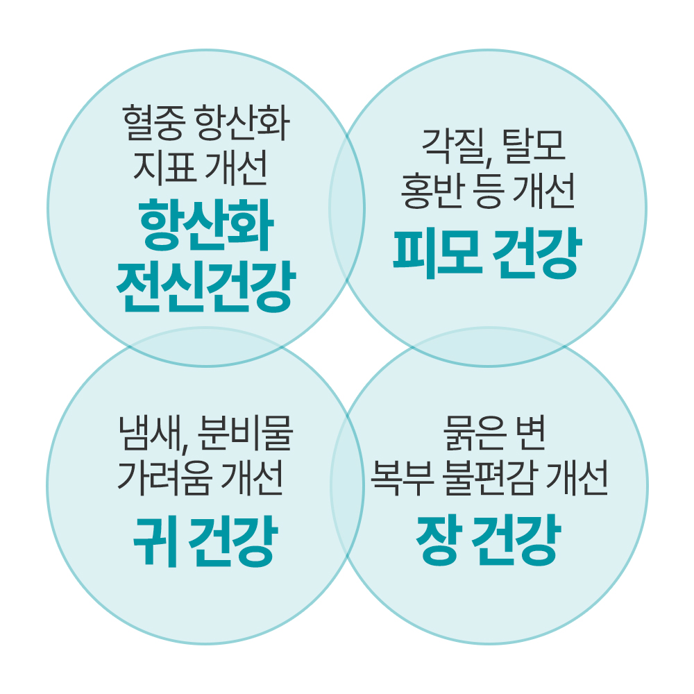 [임상완료] 펫생각 리포좀 후코이단프로 강아지 종합 영양제 항산화제 면역 30정, 1개