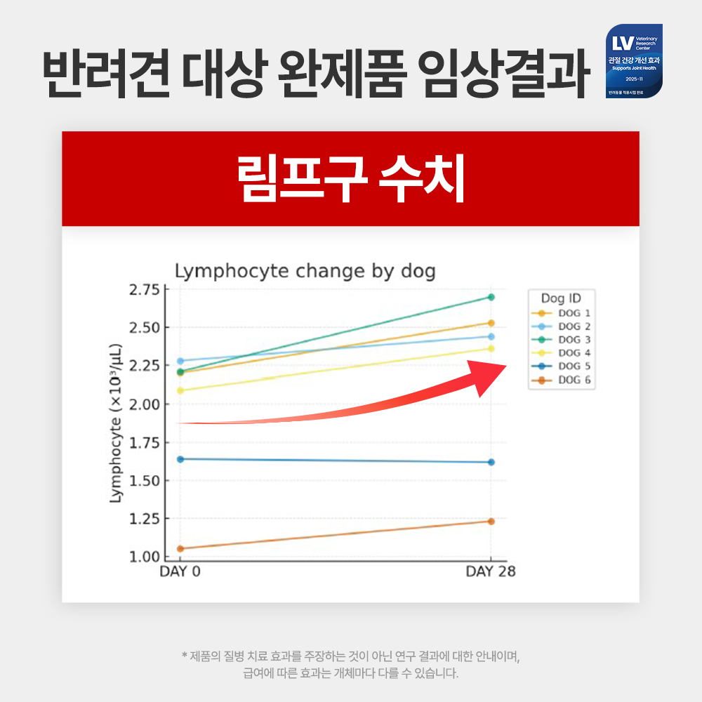 [임상완료] 펫생각 조인트프로 강아지 관절 영양제 칼슘 슬개골 연골 근력 60정, 1개