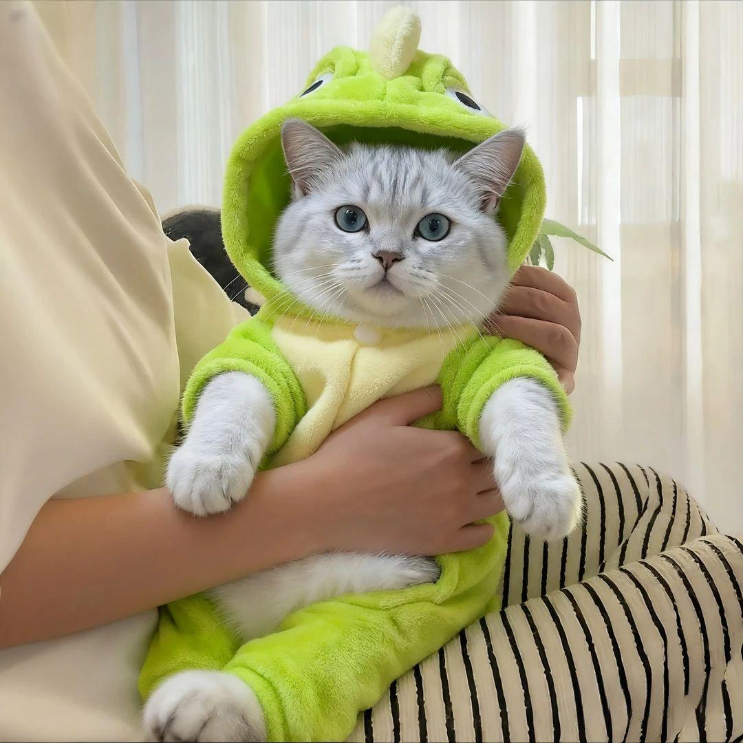 고양이 플란넬 후드티 두꺼운 겨울용 애완동물 옷 가을 큰 눈 공룡 의상 견인버클포함 XS 0.5~1.5kg - 상세 이미지 5