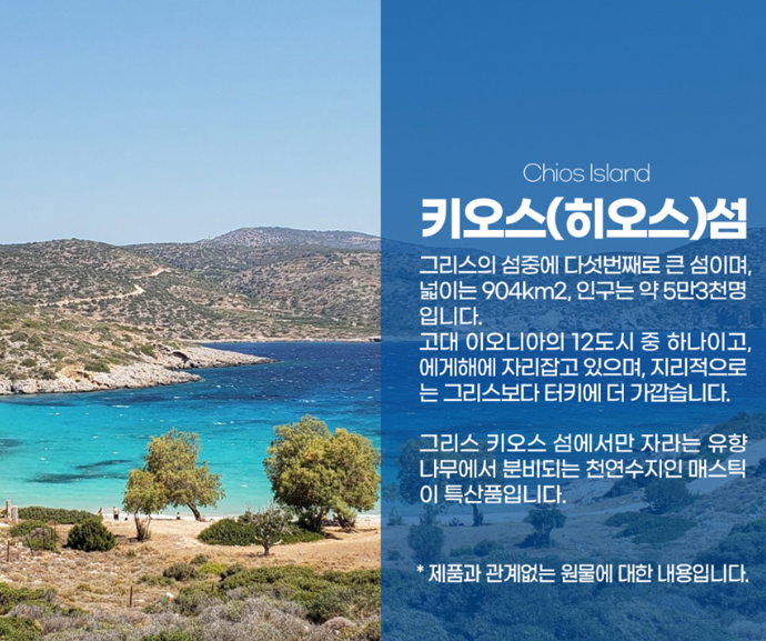 매스틱추출성분 자연매스틱검 멀티 복합체 - 상세 이미지 5