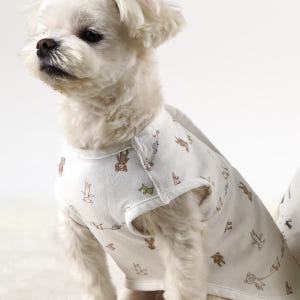 강아지 옷 조끼 오가닉 내복 실내복 노령견 잠옷 베이비곰 양면조끼 XS 솔직 후기 | 실제 사용자 리뷰 총정리 - 상품 이미지 1