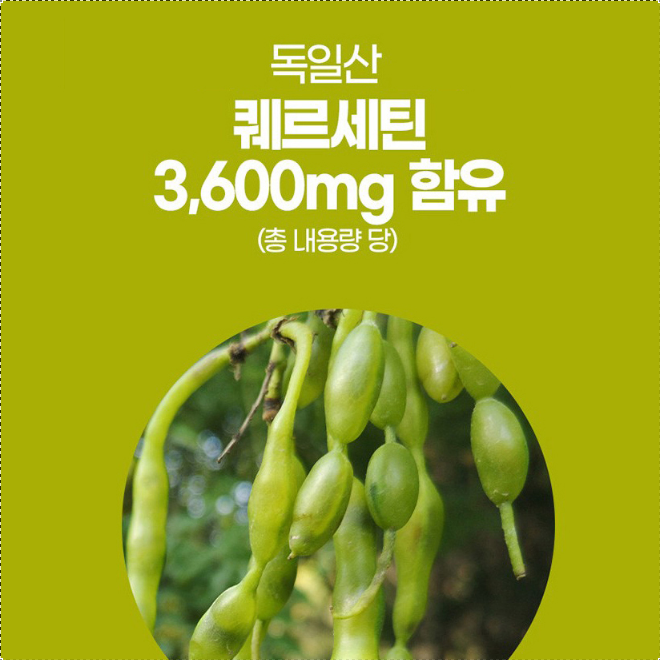 퀘르세틴 브로멜라인 1통 케르세틴 브로멜라민 파인효소 파파야효소 이미지 6