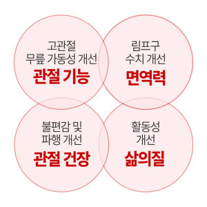 [임상완료] 펫생각 강아지 관절 영양제 칼슘 슬개골 고관절 관절염 조인트... 솔직 후기 | 실제 사용자 리뷰 총정리 - 상품 이미지 4