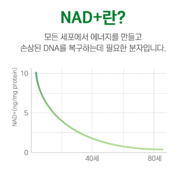 nmnc 효모nmn 42000 나드활성제 고함량 60정 이미지 7