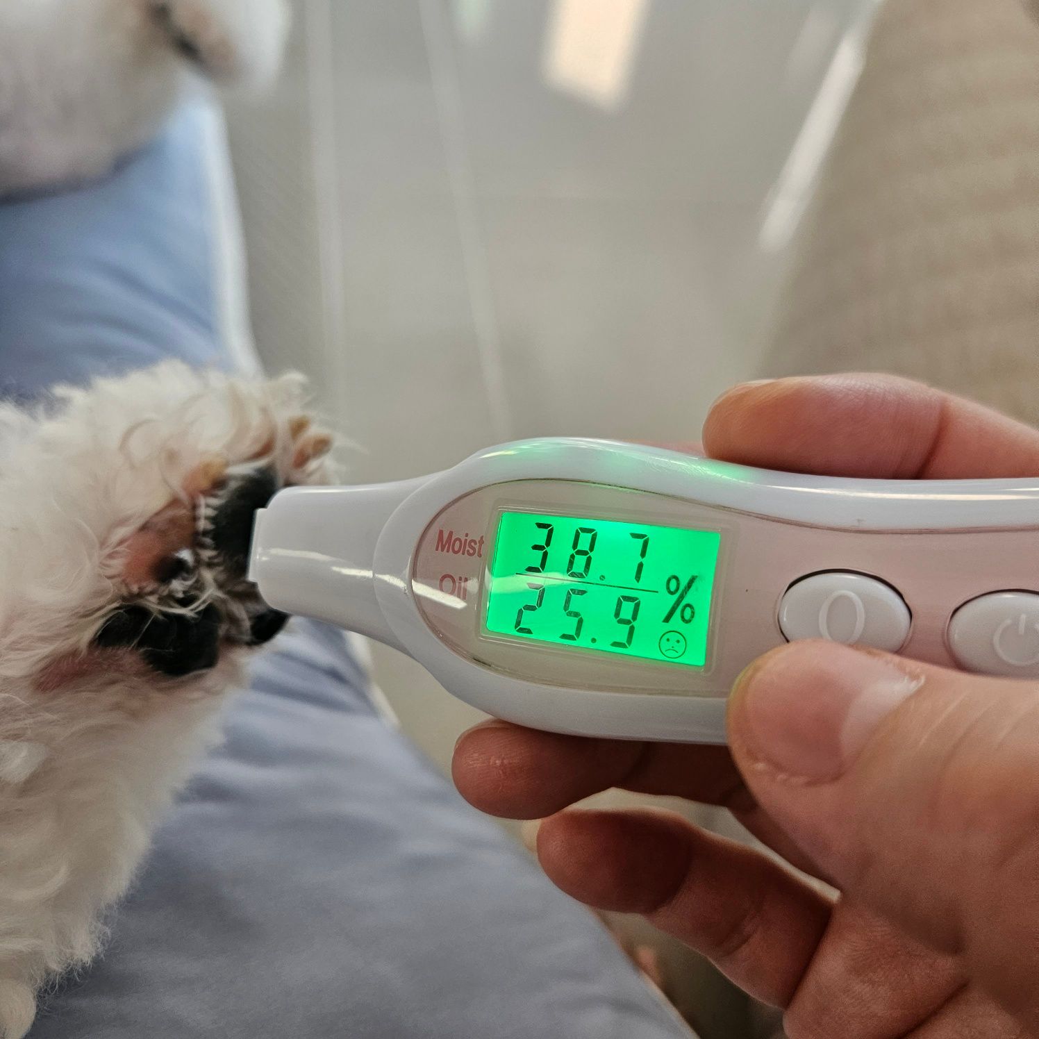 강아지 고양이 보습제 로션 발바닥 크림 곰팡이성 피부염 코 건조 발진 무향 몽셀 30ml - 상세 이미지 3