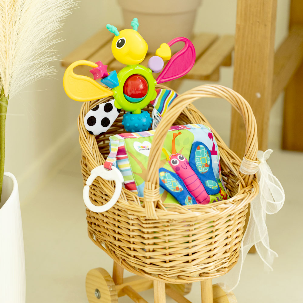 라마즈 핑크 선물 세트 국민 애벌레 출산 신생아 돌 백일 선물 아기 장난감 헝겊책 촉감책