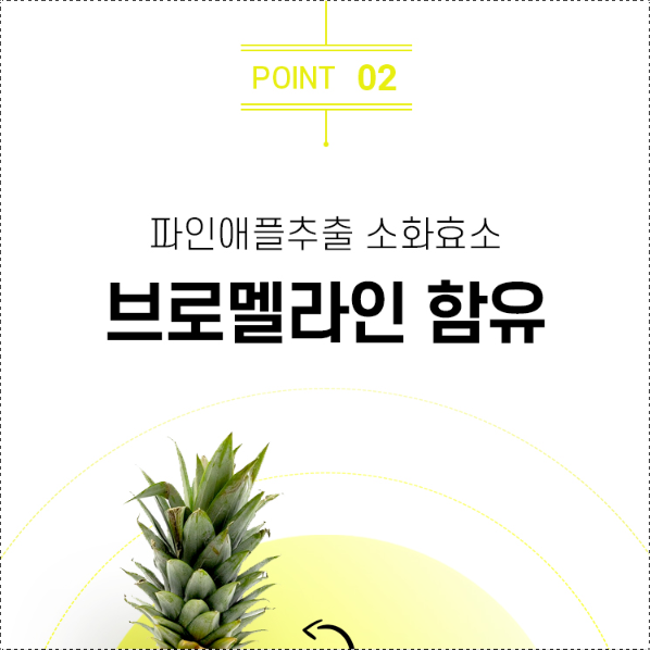 케르세틴 브로멜라인 1통 퀘르세틴 브로멜라민 파인애플추출물 파인효소 - 상세 이미지 4