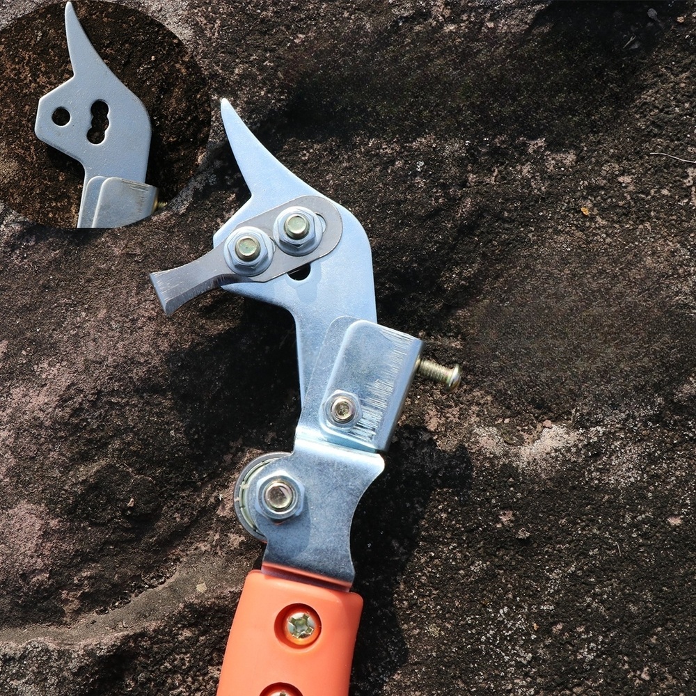 포도 대추 나무 제거 칼 박피가위 플라이어 껍질 가지 휴대용 과수원 접목 원예 스트리퍼 - 상세 이미지 2