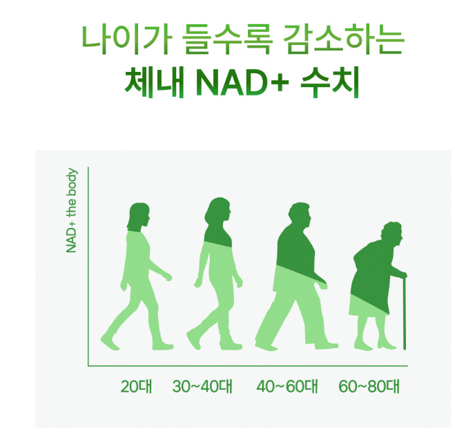 nmnc 효모nmn 42000 나드활성제 고함량 60정 - 상세 이미지 4