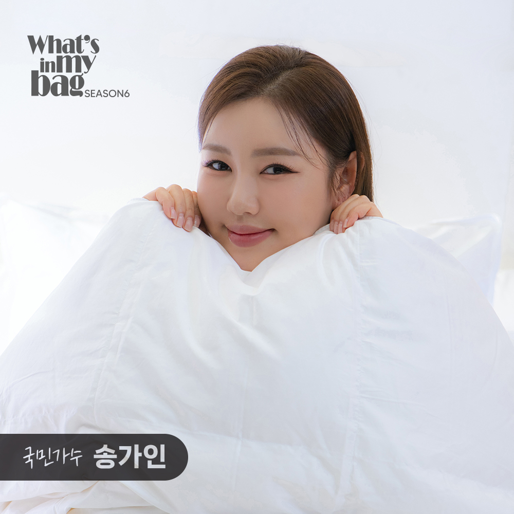 클래식패브릭 헝가리 구스이불솜 솜털 거위털이불 화이트 겨울 SS650g