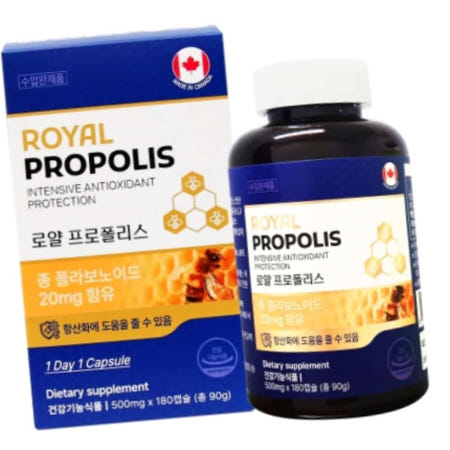 돈스텔 로얄 프로폴리스 500mg x 180캡슐 폴라보니드 프로폴리스영양제