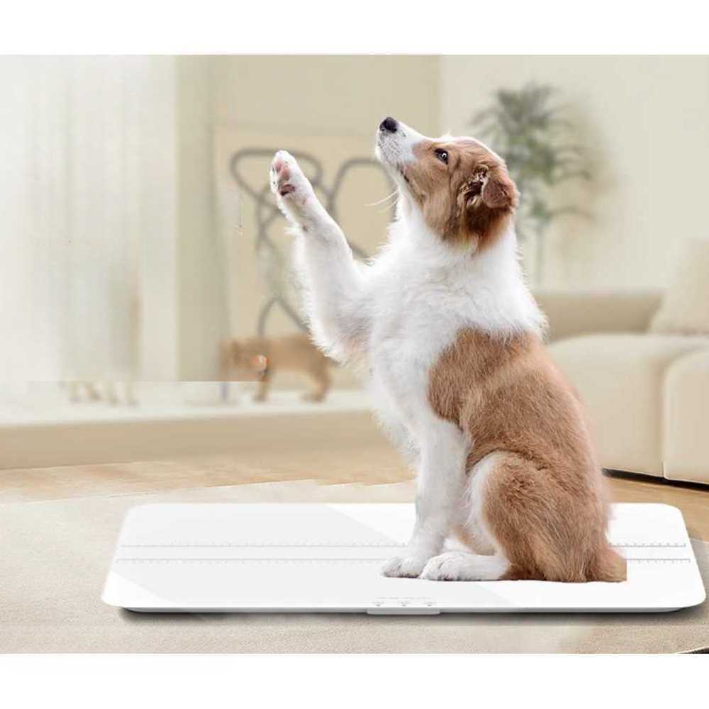 대형 반려견 체중계 애견 병원용 대형 디지털 측정기 월광백 180kg USB충전 - 상세 이미지 2