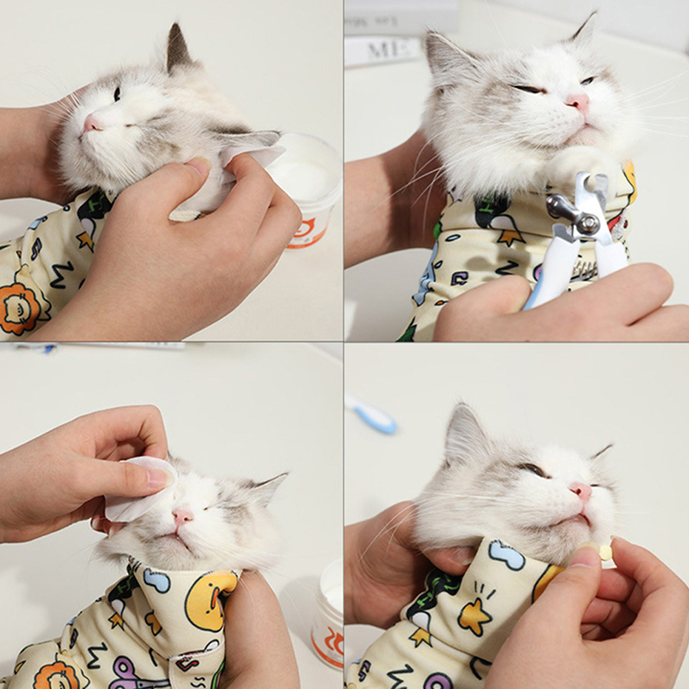 개과천선 트랩핑 고양이 블랭킷 특수자접착원단 강아지 보정 요술 담요