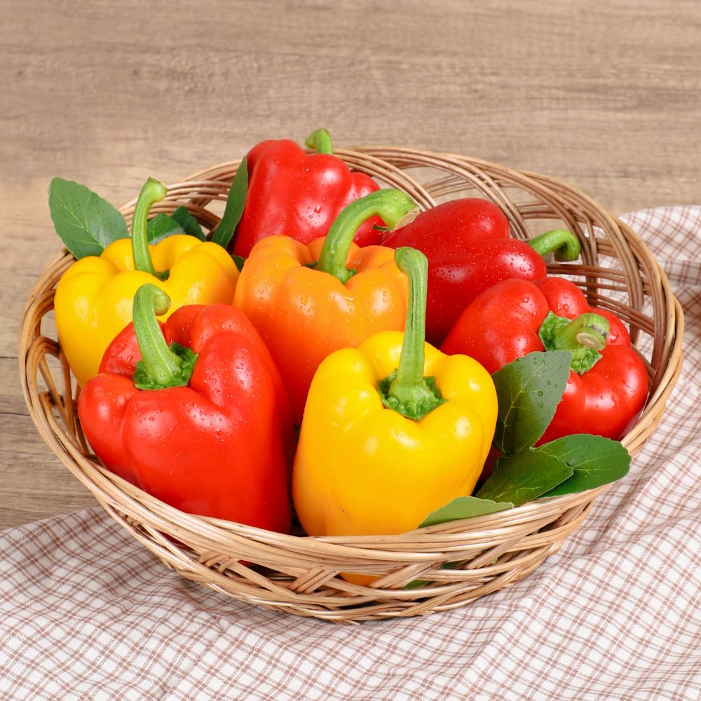 산지직송 싱싱한 국내산 가정용 빨강 노랑 파프리카 1kg, 1개 - 상세 이미지 2