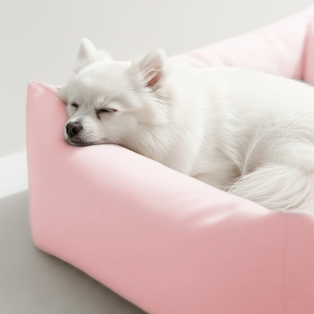 레토 강아지방석 프리미엄 대형 사각 쿠션 올커버 분리형 방석