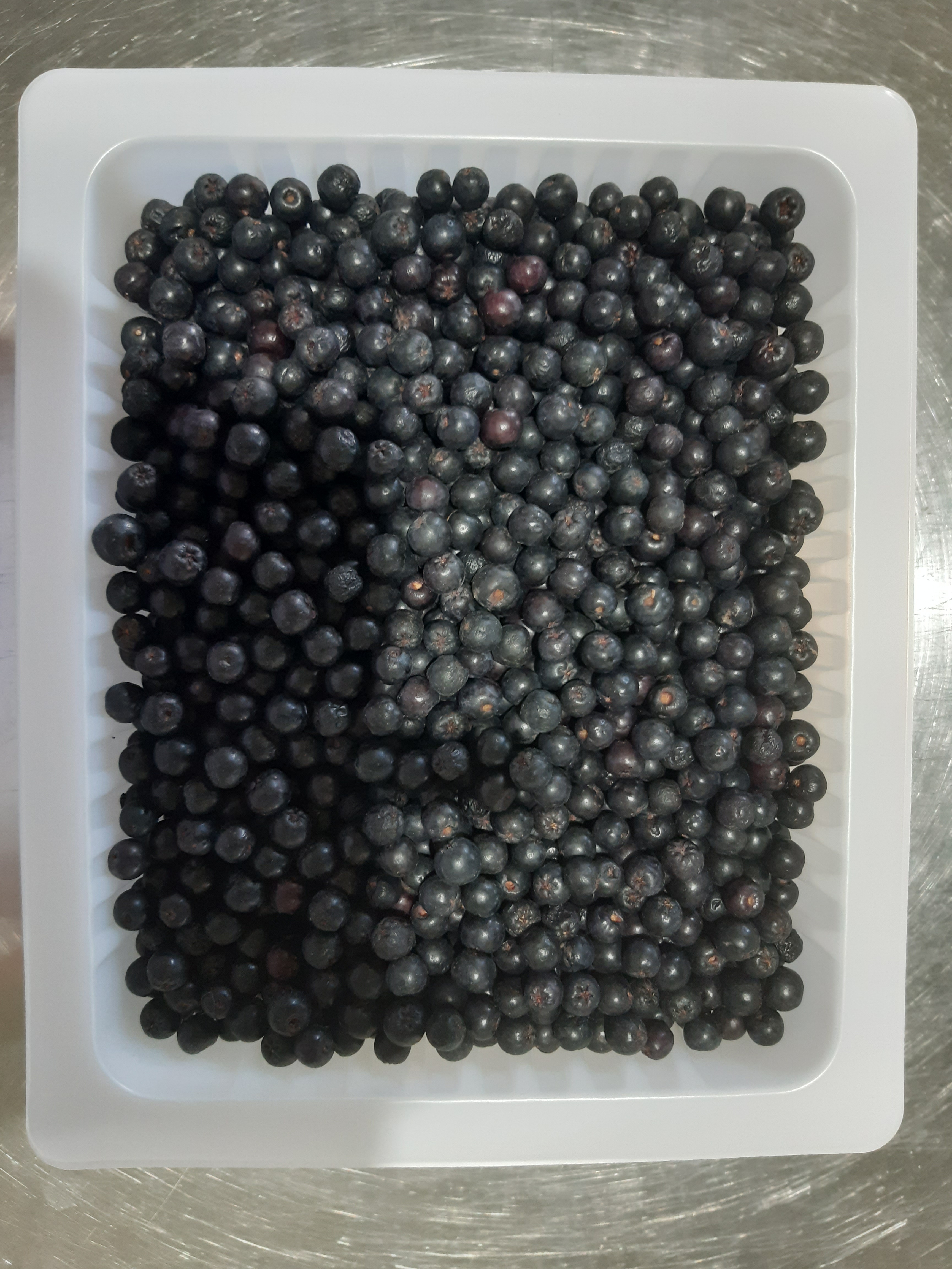 [13월의농장] 아로니아 국내산 햇 특품 급냉 줄기제거 1kg x 5팩 이미지 8