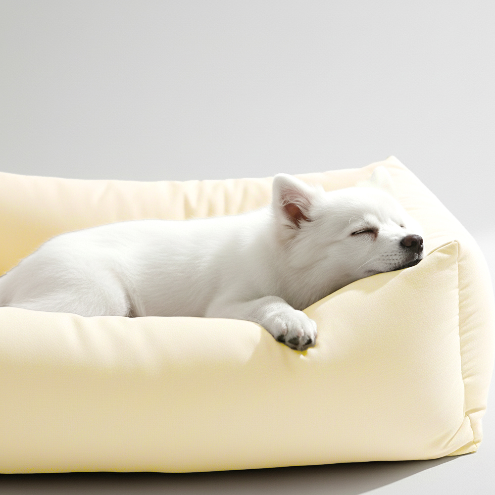 레토 강아지방석 프리미엄 대형 사각 쿠션 올커버 분리형 방석