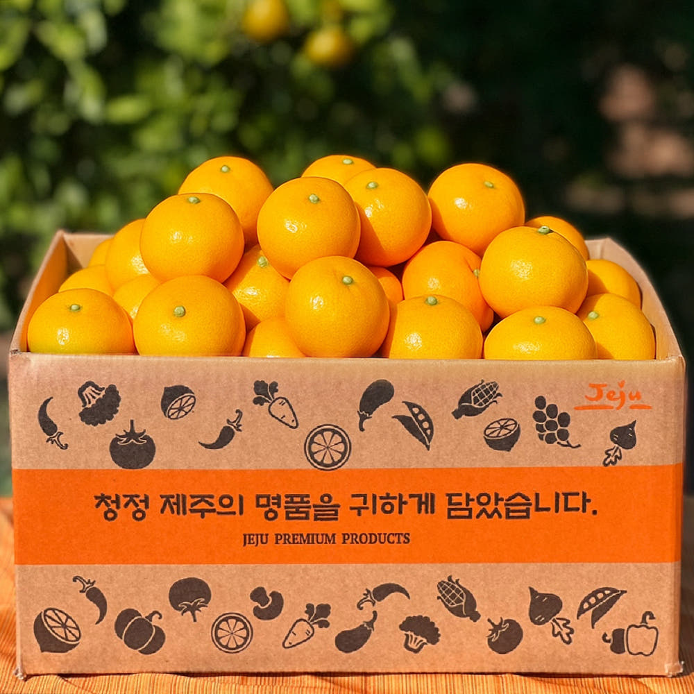 제주 타이벡감귤 2.5kg
