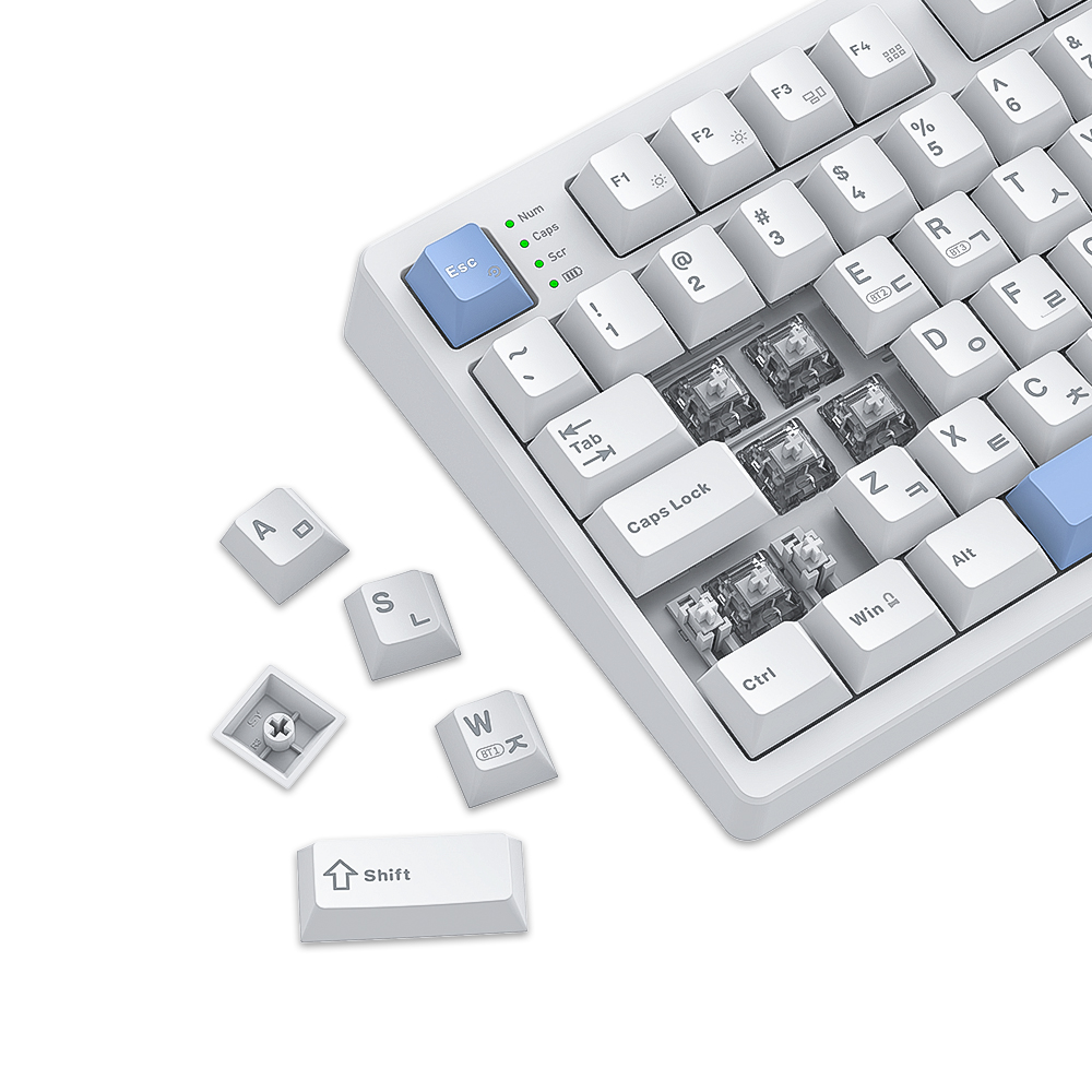 에이투 GK5 8K 유선 게이밍키보드 LED 기계식 USB 풀배열 발로란트 오버위치 오테뮤 그레이축