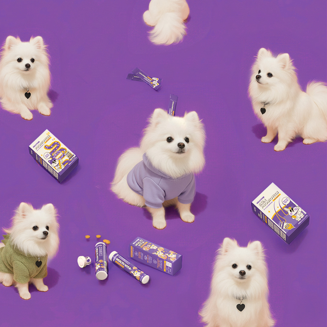 헬시얌 멀티비타 고양이 영양제 에너지 활력 10종 종합 비타민 30정, 1개 - 상세 이미지 4