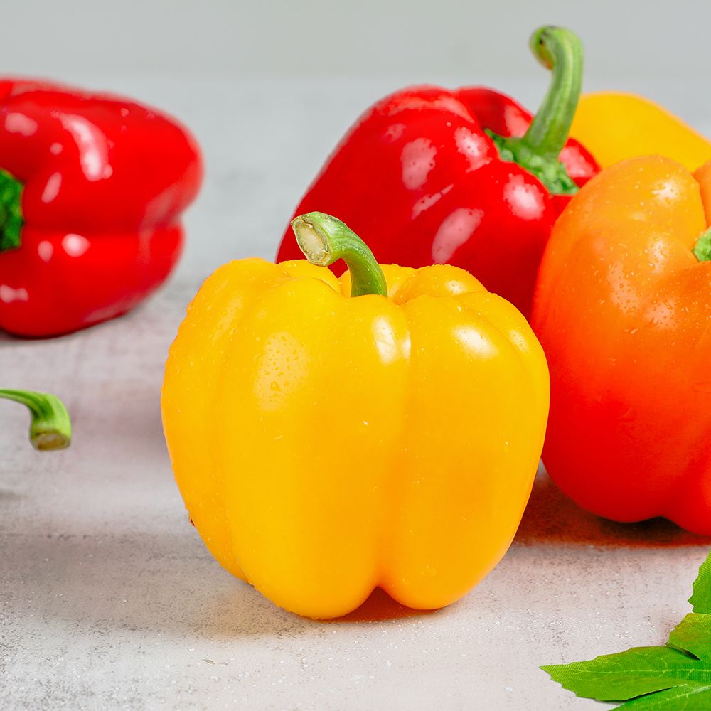 산지직송 싱싱한 국내산 가정용 빨강 노랑 파프리카 1kg, 1개 - 상세 이미지 3