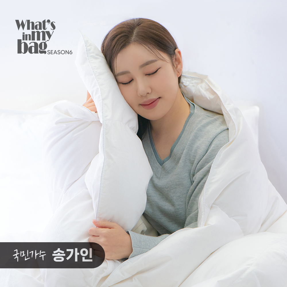 클래식패브릭 헝가리 구스이불솜 솜털 거위털이불 화이트 겨울 SS650g