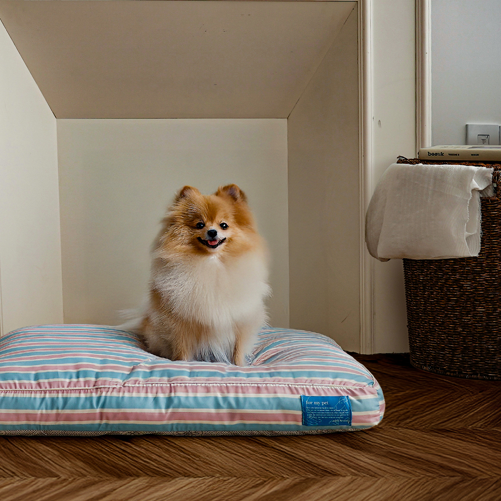 커버 분리 강아지 고양이 방수 펫 방석 관리하기 편한 프렌들리 강아지방석