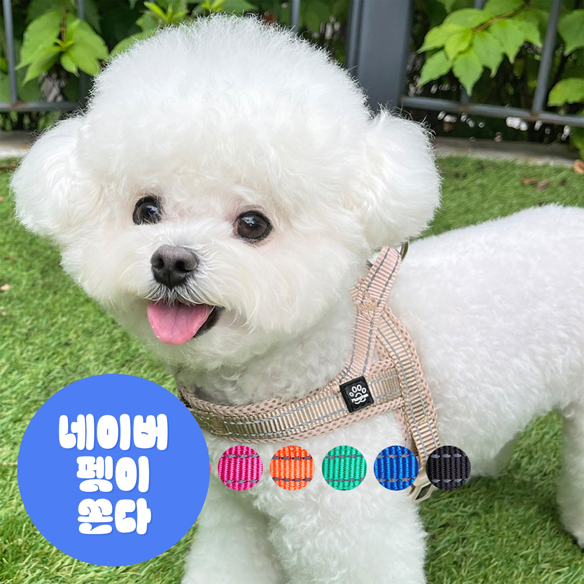 강아지 하네스 앞섬방지 앞고리 가슴줄 XXS 소형견