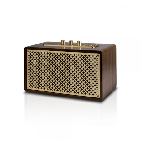 Britz 브리츠인터내셔널 BZ-JB5609PT 블루투스 포터블 스피커