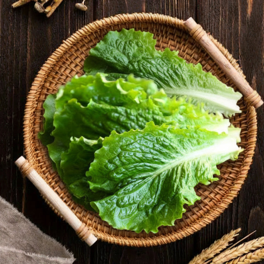 아지트팜 당일수확 청상추 적상추 꽃상추 산지직송 1kg 2kg 4kg - 상세 이미지 5