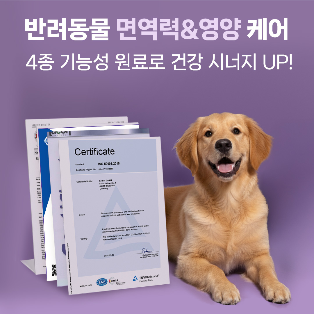 헬시얌 멀티비타 고양이 영양제 에너지 활력 10종 종합 비타민 30정, 1개 이미지 7