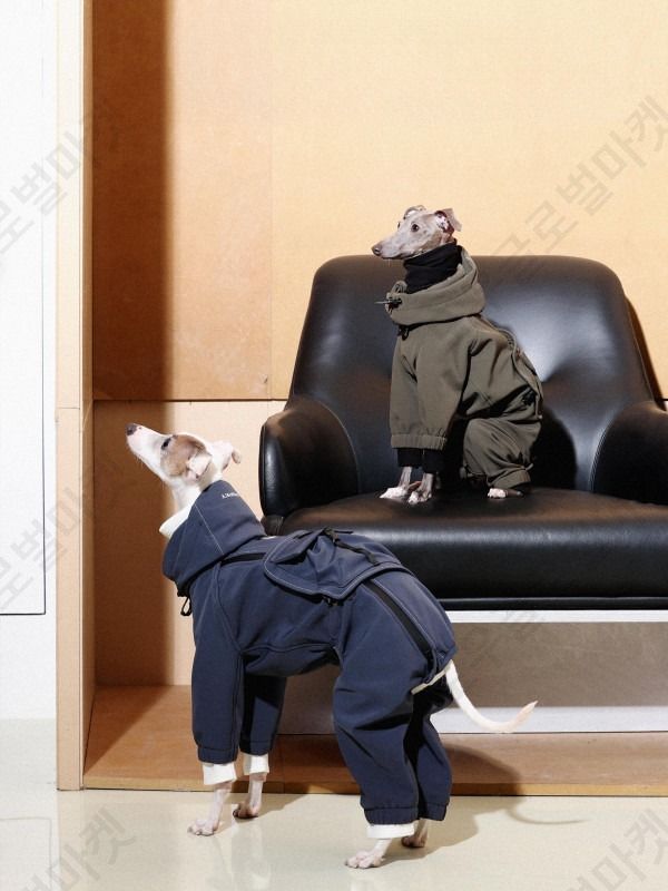 이탈리안그레이하운드패딩 대형견 빅사이즈 방한복 바람막이 - 상품 이미지