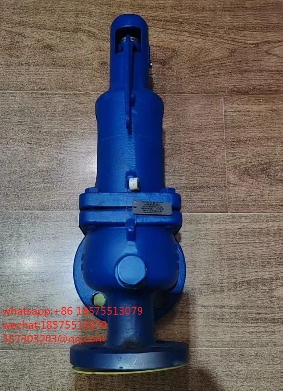 Spirax Sarco 안전 밸브 SV607DS DN32PN25