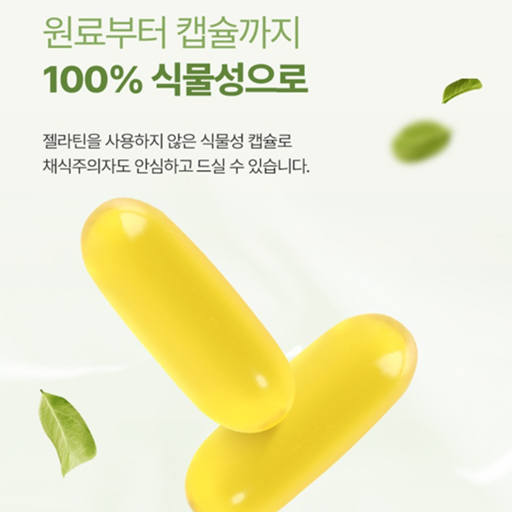 비웰 퓨어 엑스트라버진 올리브오일 30캡슐 3박스 스페인 피쿠알 냉압착 식물성 소형 캡슐 - 상세 이미지 5